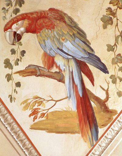 A Parrot (mural) by Pietro Rotati